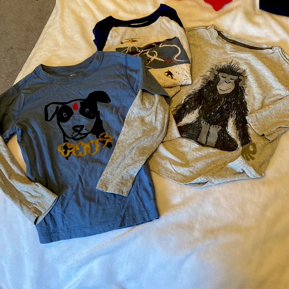 Bundle of 3 Tea Collection long-sleeved shirts